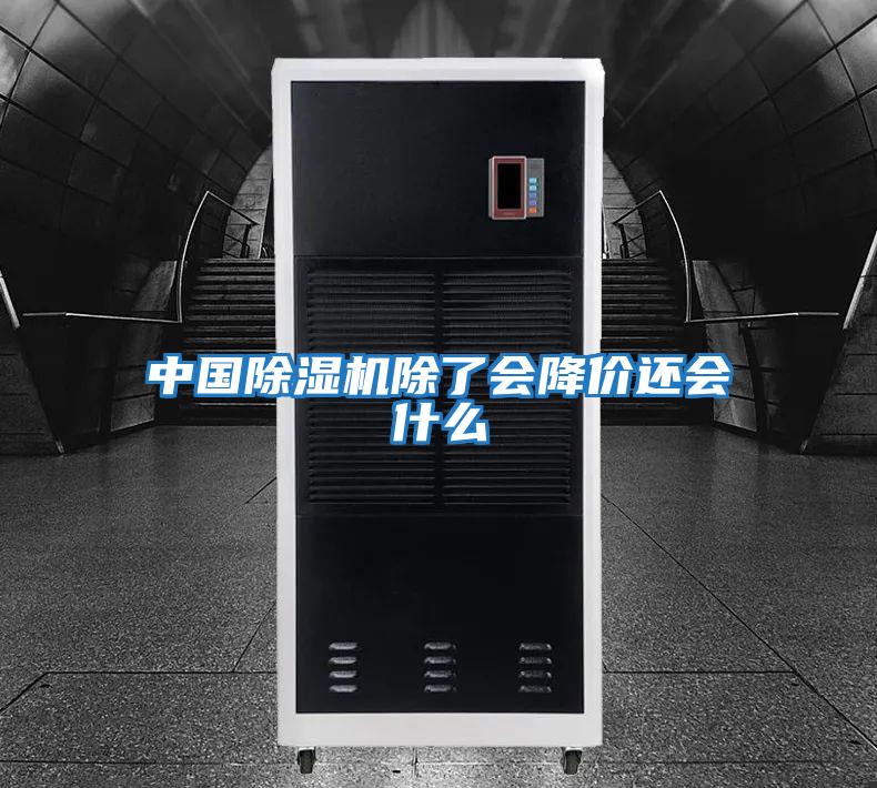 中國除濕機除了會(huì )降價(jià)還會(huì )什么