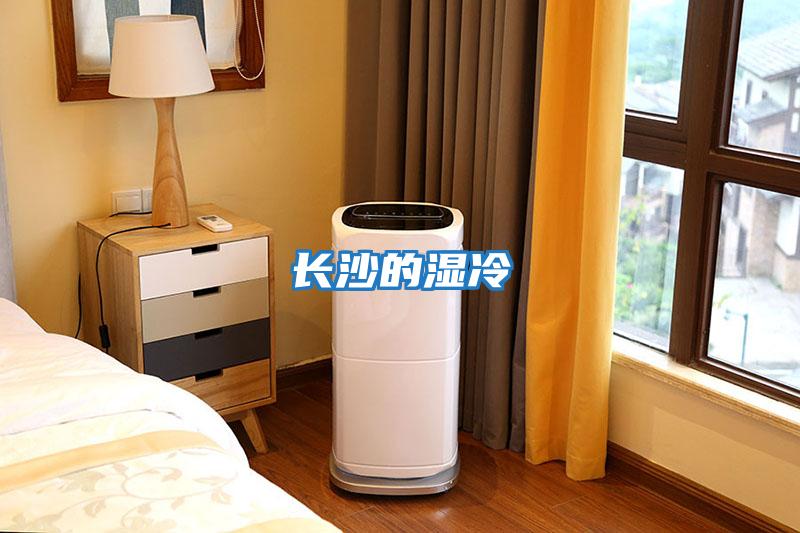 長(cháng)沙的濕冷