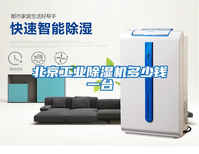 北京工業(yè)除濕機多少錢(qián)一臺