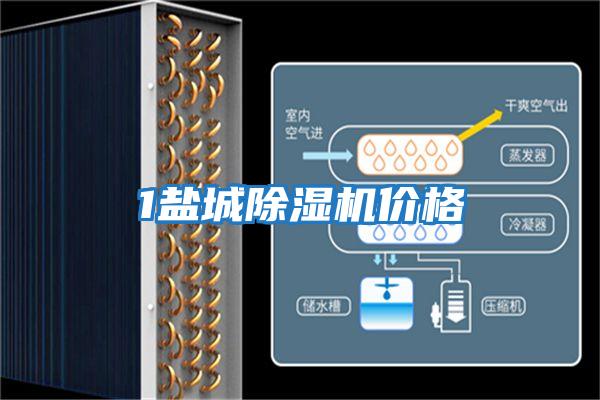 1鹽城除濕機價(jià)格