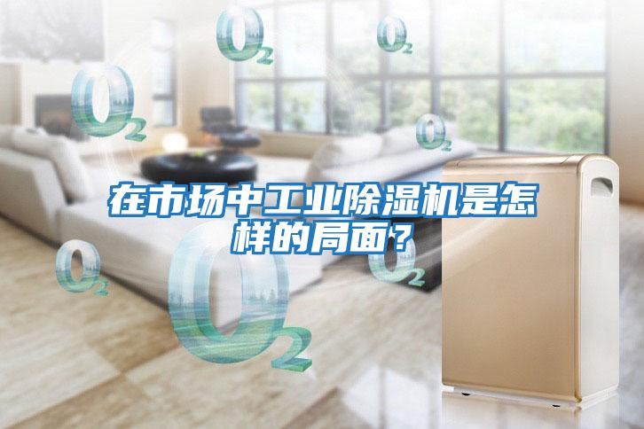 在市場(chǎng)中工業(yè)除濕機是怎樣的局面？