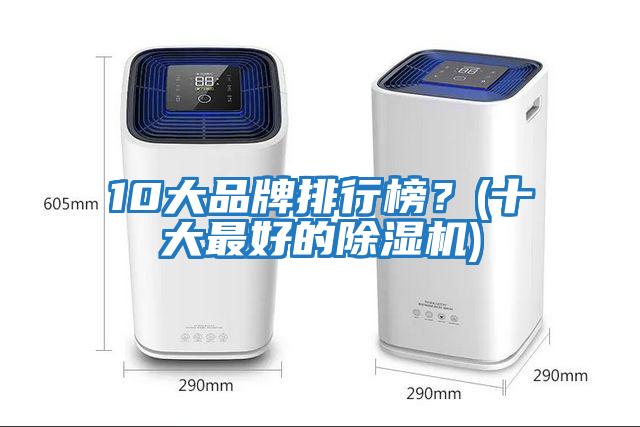 10大品牌排行榜？(十大最好的除濕機)