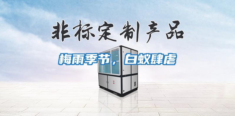 梅雨季節，白蟻肆虐