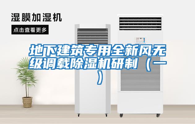 地下建筑專(zhuān)用全新風(fēng)無(wú)級調載除濕機研制（一）