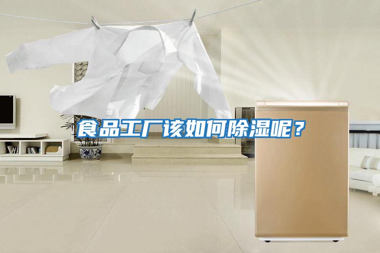 食品工廠(chǎng)該如何除濕呢？