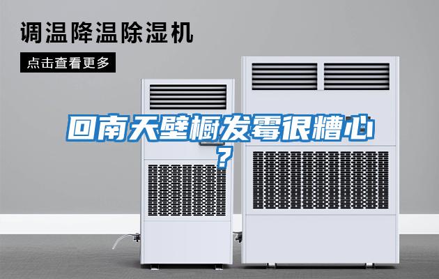 回南天壁櫥發(fā)霉很糟心？
