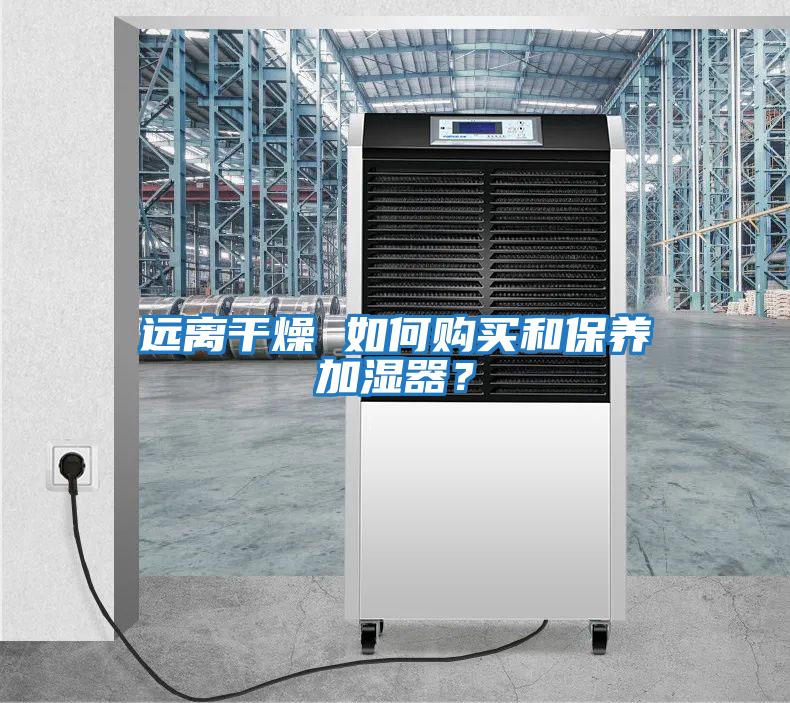 遠離干燥 如何購買(mǎi)和保養加濕器？