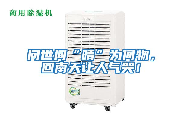 問(wèn)世間“晴”為何物，回南天讓人氣哭！