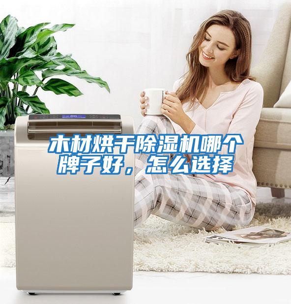 木材烘干除濕機哪個(gè)牌子好，怎么選擇