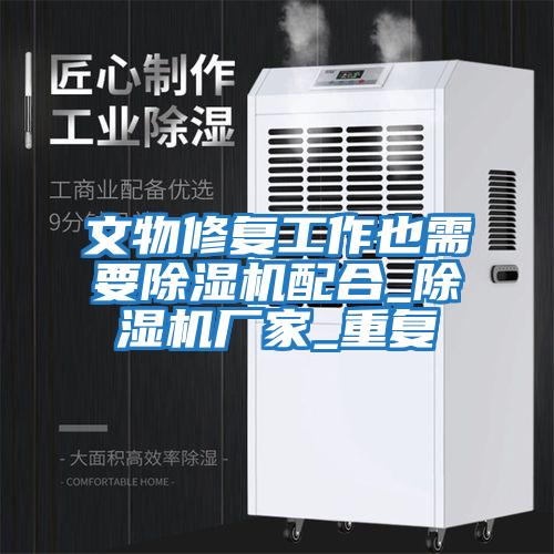 文物修復工作也需要除濕機配合_除濕機廠(chǎng)家_重復