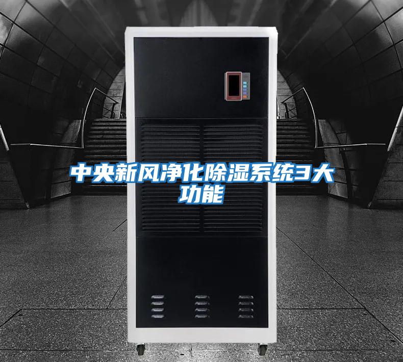 中央新風(fēng)凈化除濕系統3大功能