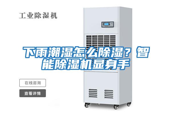下雨潮濕怎么除濕？智能除濕機顯身手