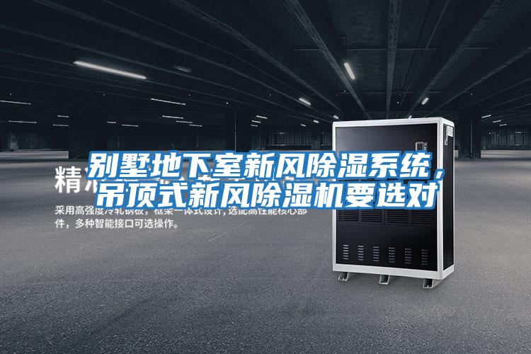 別墅地下室新風(fēng)除濕系統，吊頂式新風(fēng)除濕機要選對