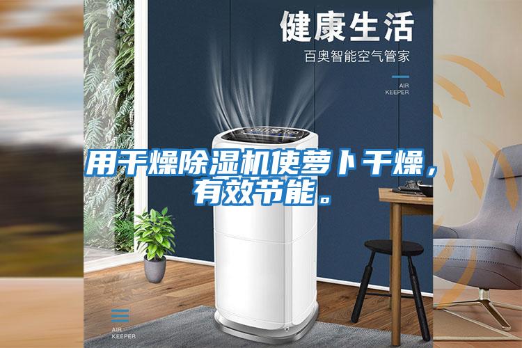 用干燥除濕機使蘿卜干燥，有效節能。