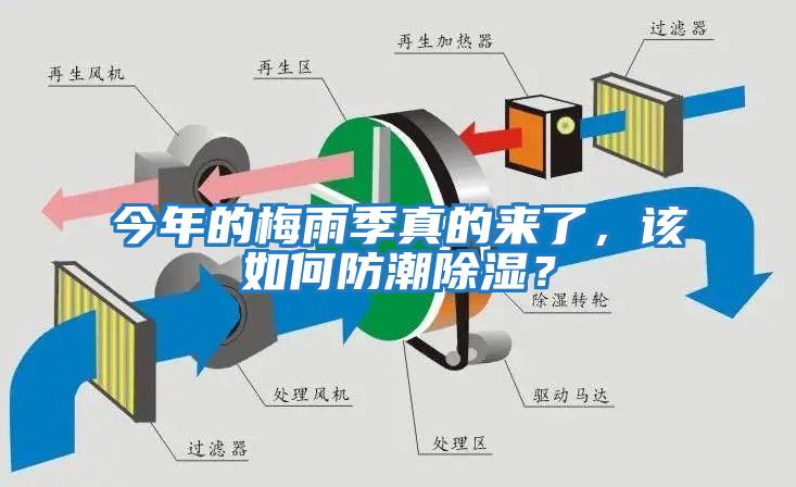 今年的梅雨季真的來(lái)了，該如何防潮除濕？