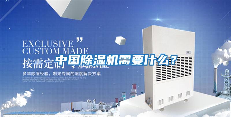 中國除濕機需要什么？