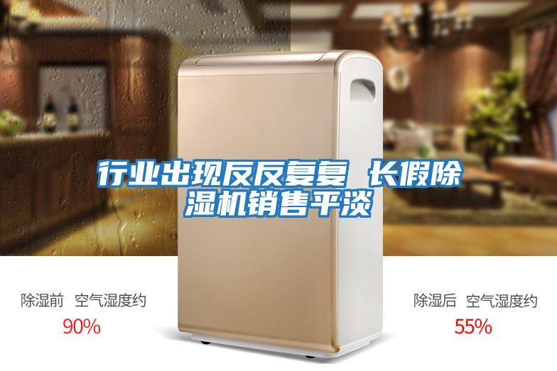 行業(yè)出現反反復復 長(cháng)假除濕機銷(xiāo)售平淡