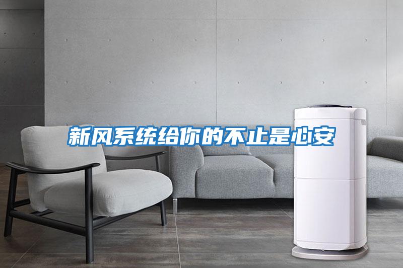 新風(fēng)系統給你的不止是心安