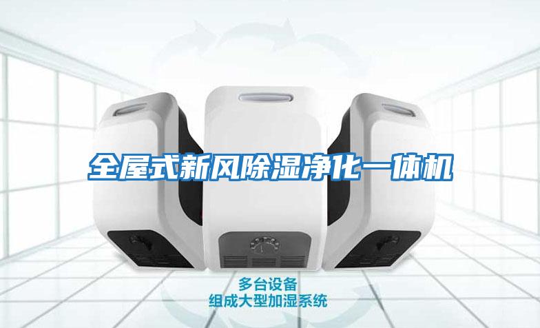 全屋式新風(fēng)除濕凈化一體機