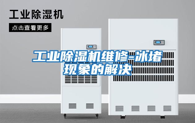工業(yè)除濕機維修-冰堵現象的解決