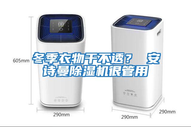 冬季衣物干不透？ 安詩(shī)曼除濕機很管用