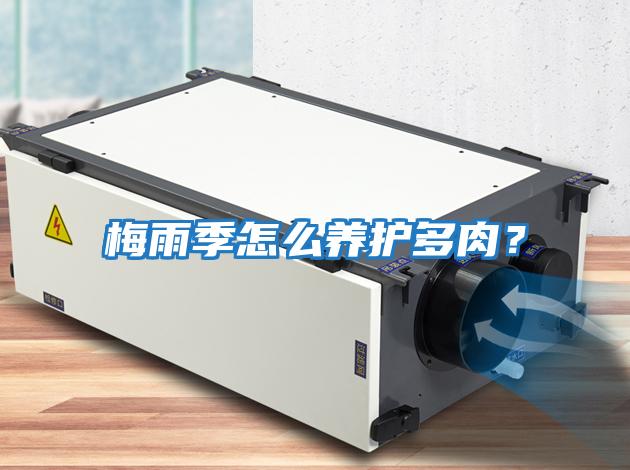 梅雨季怎么養護多肉?