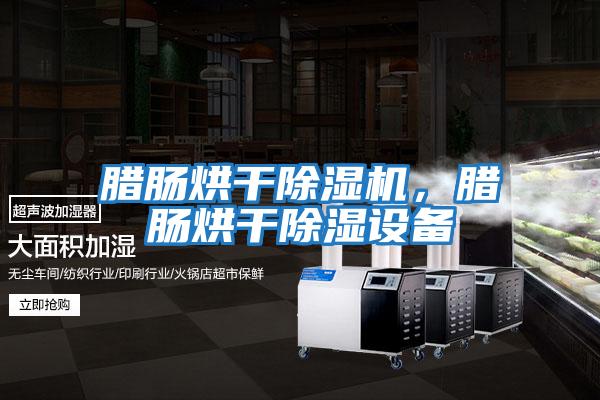 臘腸烘干除濕機，臘腸烘干除濕設備