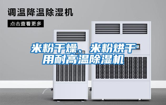 米粉干燥、米粉烘干用耐高溫除濕機