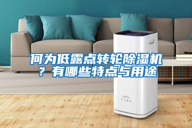 何為低露點(diǎn)轉輪除濕機？有哪些特點(diǎn)與用途