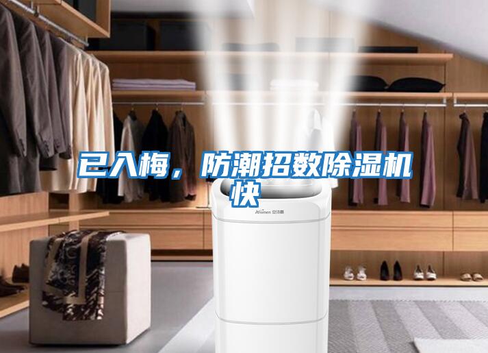 已入梅，防潮招數除濕機快