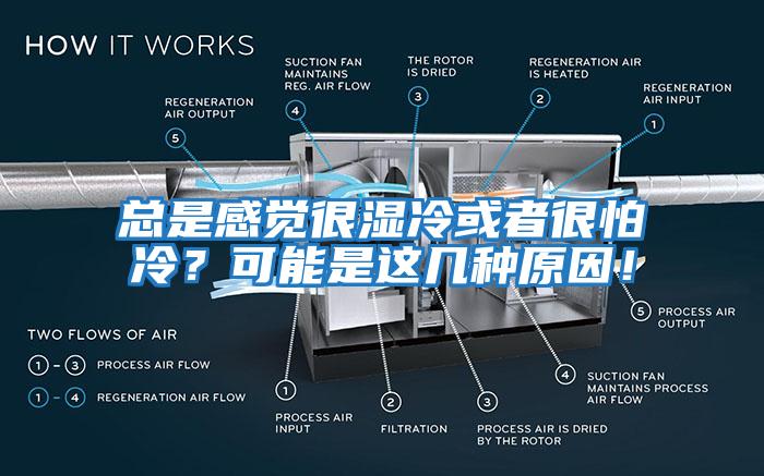 總是感覺(jué)很濕冷或者很怕冷？可能是這幾種原因！