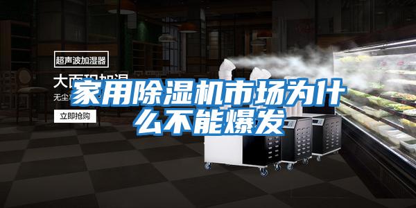 家用除濕機市場(chǎng)為什么不能爆發(fā)