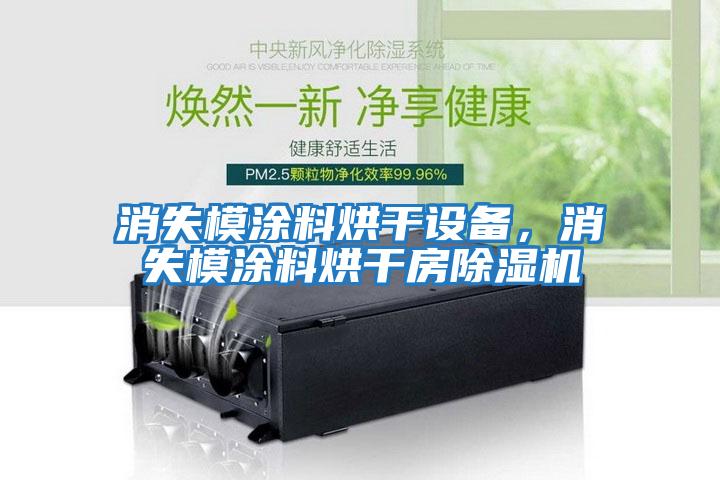 消失模涂料烘干設備，消失模涂料烘干房除濕機