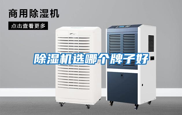 除濕機選哪個(gè)牌子好