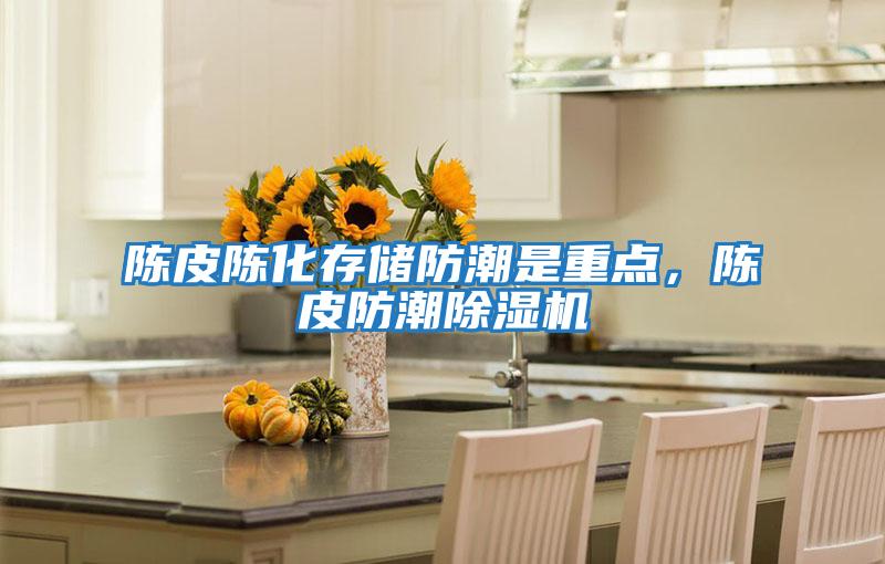 陳皮陳化存儲防潮是重點(diǎn)，陳皮防潮除濕機