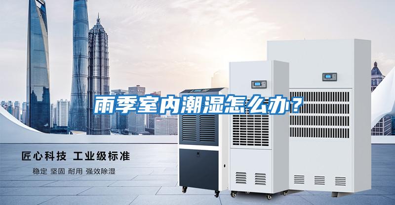 雨季室內潮濕怎么辦？