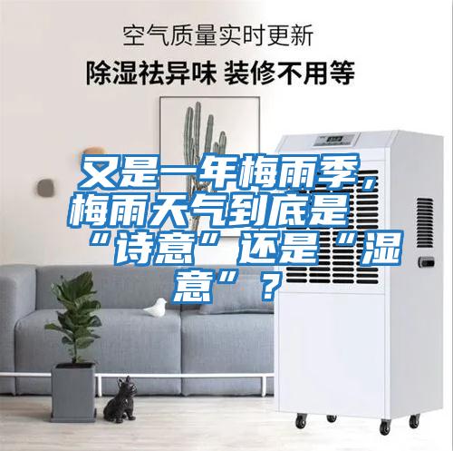 又是一年梅雨季，梅雨天氣到底是“詩(shī)意”還是“濕意”？