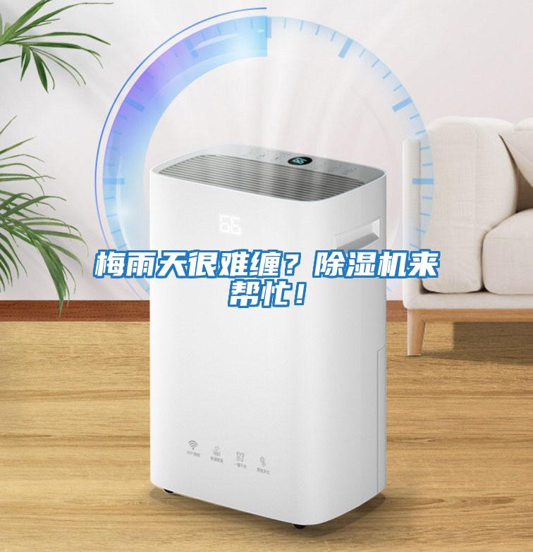 梅雨天很難纏？除濕機來(lái)幫忙！