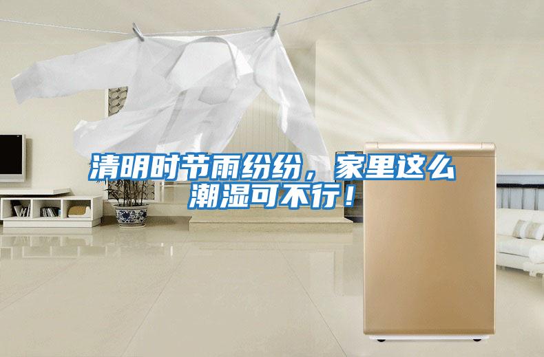 清明時(shí)節雨紛紛，家里這么潮濕可不行！