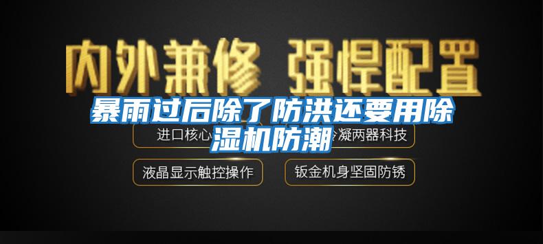 暴雨過(guò)后除了防洪還要用除濕機防潮