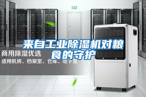 來(lái)自工業(yè)除濕機對糧食的守護