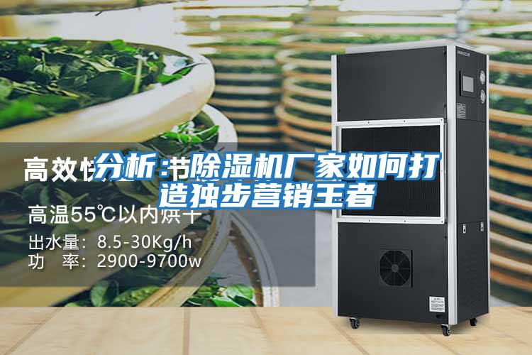 分析：除濕機廠(chǎng)家如何打造獨步營(yíng)銷(xiāo)王者