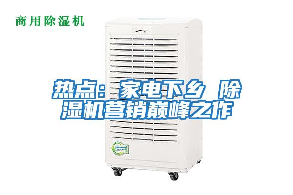 熱點(diǎn)：家電下鄉 除濕機營(yíng)銷(xiāo)巔峰之作