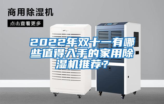 2022年雙十一有哪些值得入手的家用除濕機推薦？