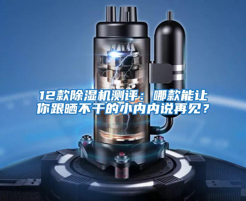 12款除濕機測評：哪款能讓你跟曬不干的小內內說(shuō)再見(jiàn)？
