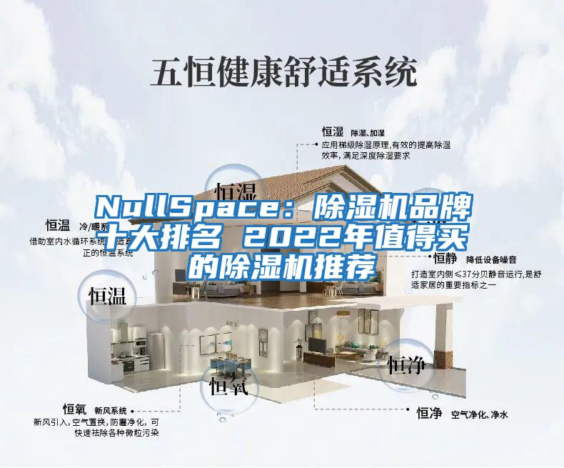 NullSpace：除濕機品牌十大排名 2022年值得買(mǎi)的除濕機推薦