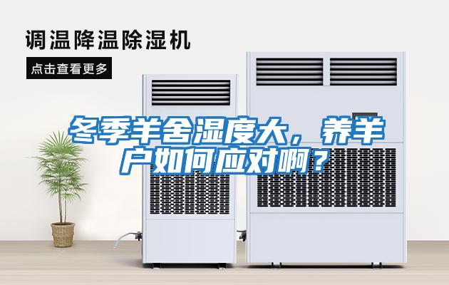 冬季羊舍濕度大，養羊戶(hù)如何應對??？