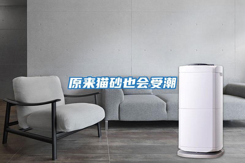 原來(lái)貓砂也會(huì )受潮