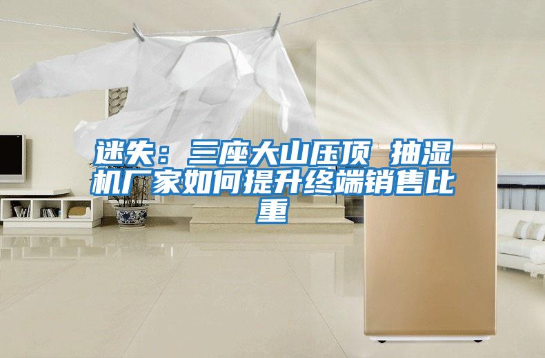 迷失：三座大山壓頂 抽濕機廠(chǎng)家如何提升終端銷(xiāo)售比重
