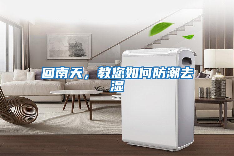 回南天，教您如何防潮去濕